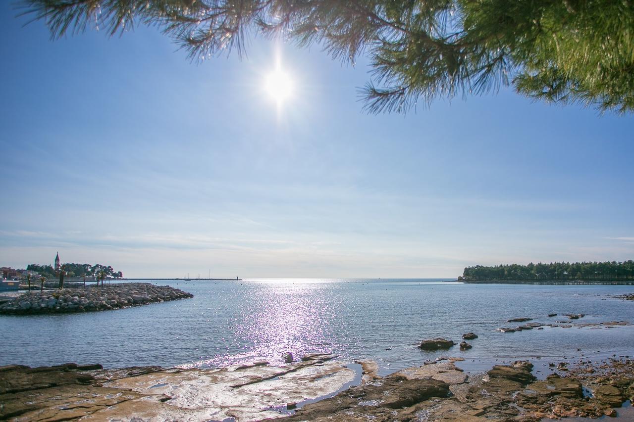 Apartment Morena Novigrad (Istria) Exterior foto